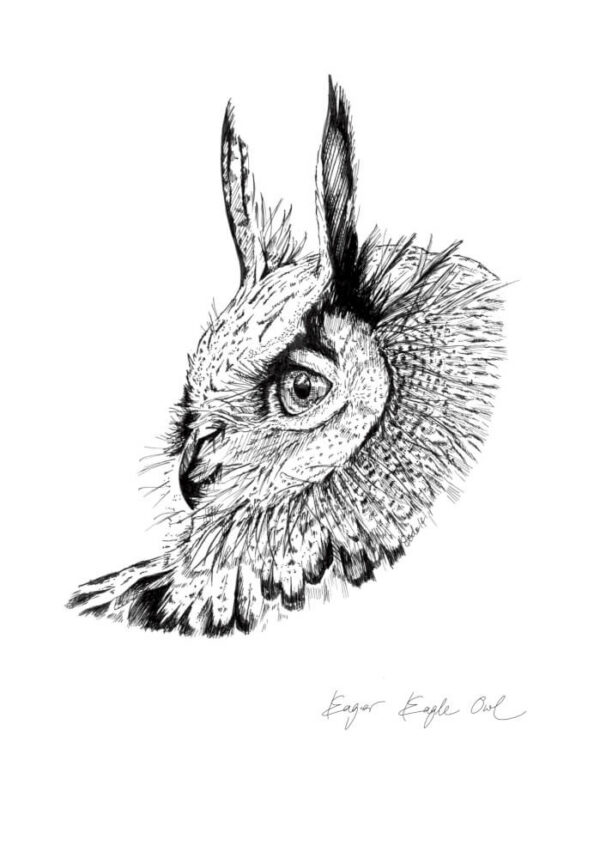 01.Eager_Eagle_Owl_Matte_Art_Print.jpg