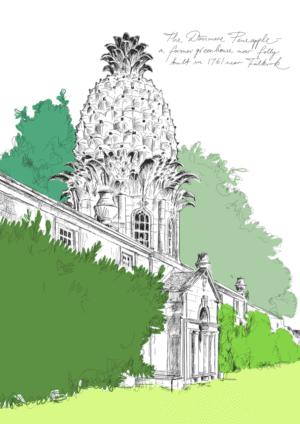 Dunmore House Pineapple Matte Art Print