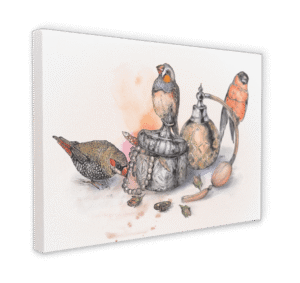 Boudoir Finches Canvas Print