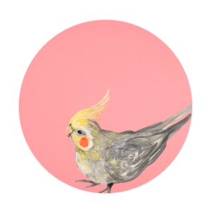 Cockatiel Giclée Art Print