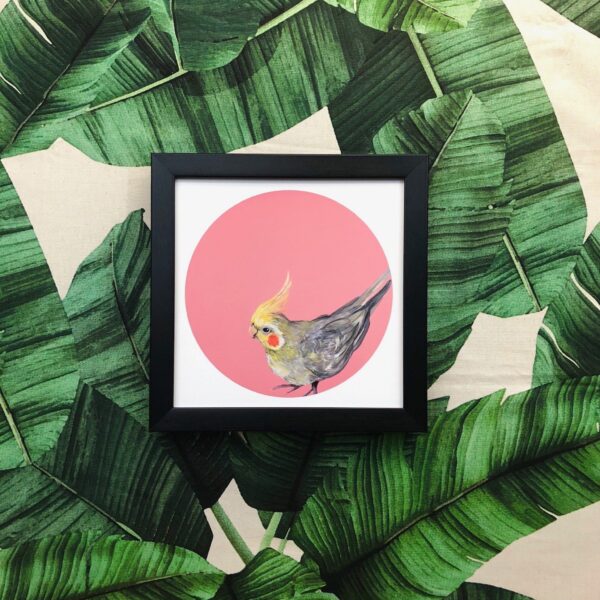 1852-cockatiel-giclee-art-print-5060583435144-17091626238108-3.jpg