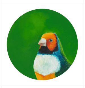 Gouldian Finch Giclée Art Print