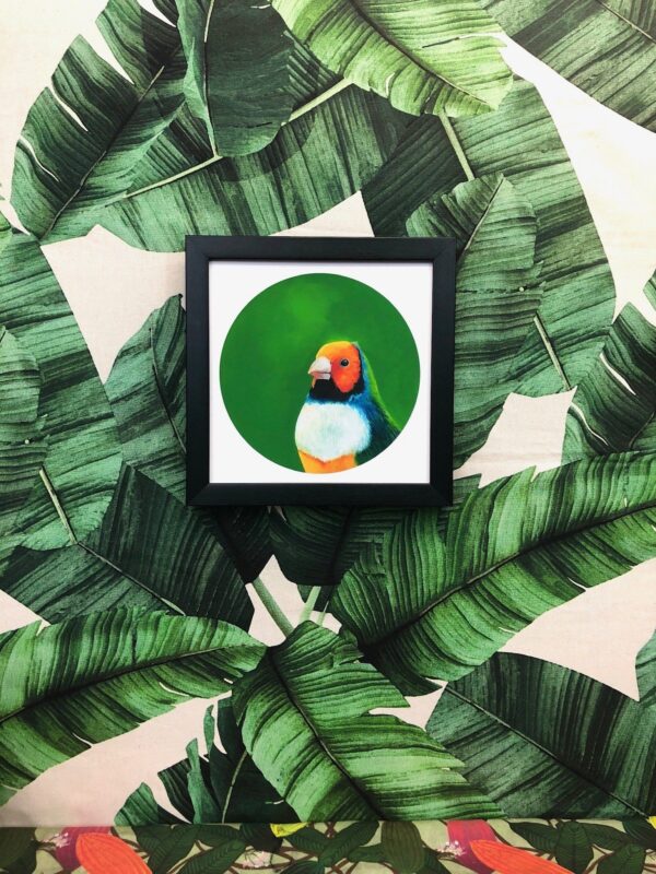 1853-gouldian-finch-giclee-art-print-5060583435151-17091624173724-3.jpg