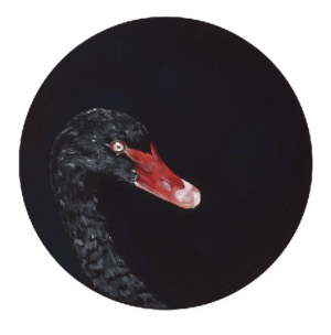 Black Swan Giclée Art Print