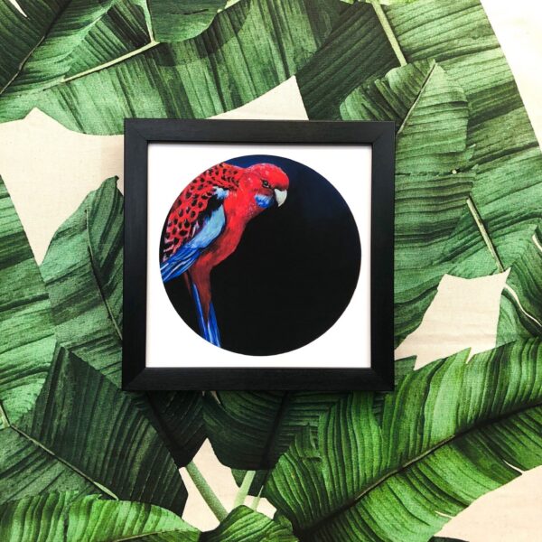 1859-crimson-rosella-giclee-art-print-5060583435205-17091625025692-3.jpg
