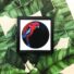 1859-crimson-rosella-giclee-art-print-5060583435205-17091625025692-3.jpg