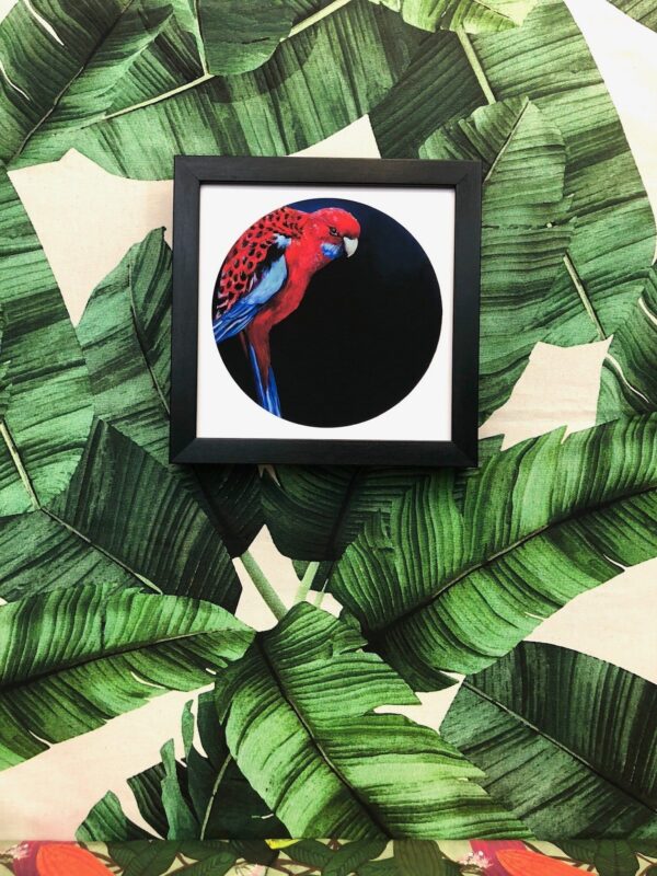 1859-crimson-rosella-giclee-art-print-5060583435205-17091625058460-3.jpg