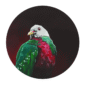 1861-wompoo-fruit-dove-giclee-art-print-5060583435229-18173669179548-3.png