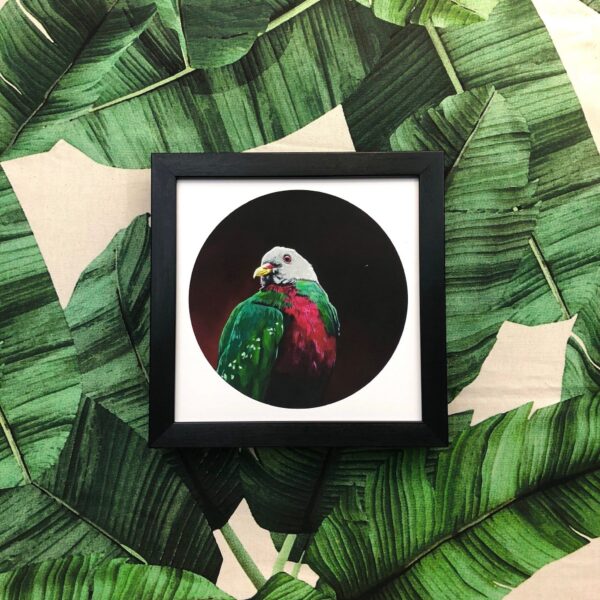 1861-wompoo-fruit-dove-giclee-art-print-5060583435229-18173671080092-3.jpg