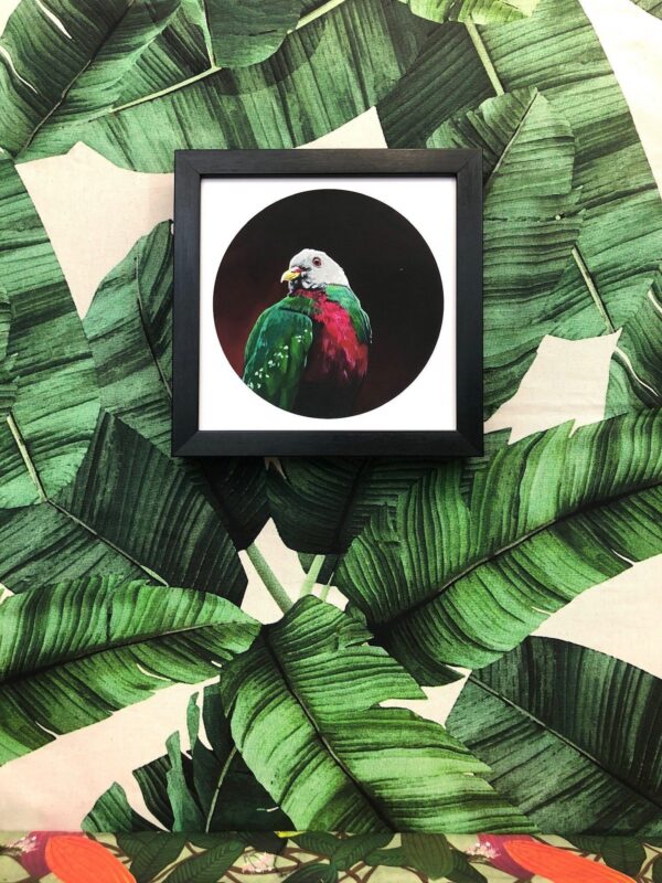 1861-wompoo-fruit-dove-giclee-art-print-5060583435229-18173672915100-3.jpg