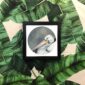 1862-pelican-giclee-art-print-5060583435236-17091623485596-3.jpg