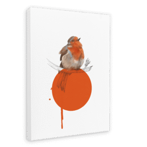 Robin Canvas Print
