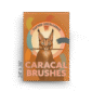 24x36-981-canvas-caracal-brushes-canvas-print-5056472906376-18460628746396-4.png