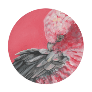 Galah Giclée Art Print