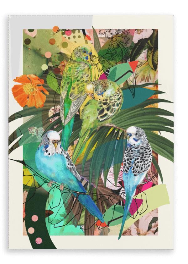 28x40-231-blooming-budgerigars-canvas-print-5056472998241-28496913203356-2.png