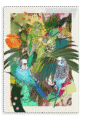28x40-231-blooming-budgerigars-canvas-print-5056472998241-28496913203356-2.png