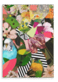 28x40-232-beaky-botanicals-canvas-print-5056472999439-28496720986268-2.png