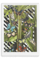 28x40-236-butterfly-tropicana-canvas-print-5056472907014-28496929325212-3.png