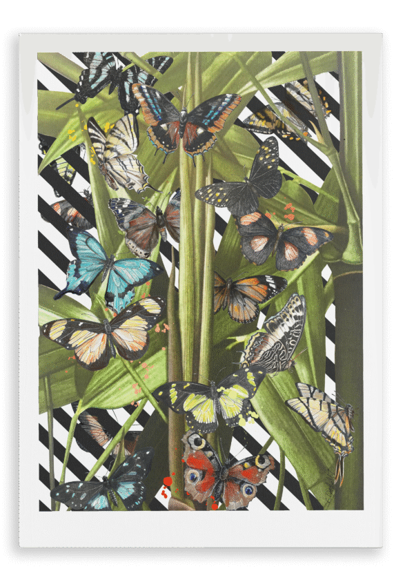 28x40-236-butterfly-tropicana-canvas-print-5056472907014-28496929325212.png