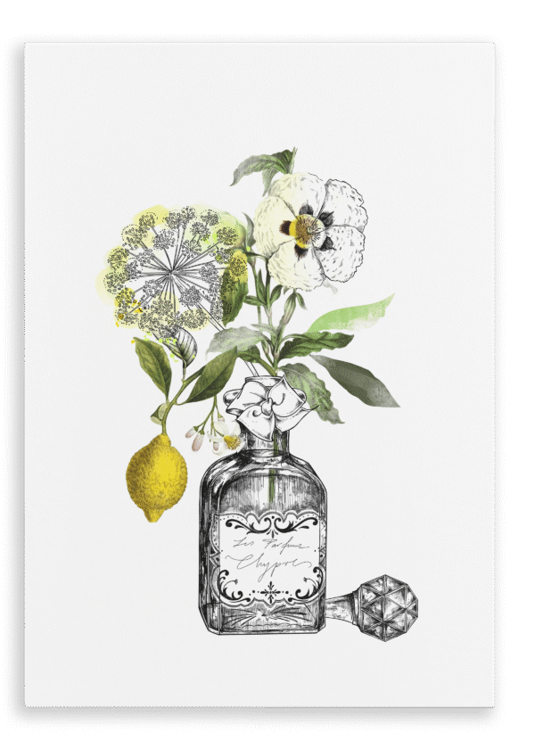 28x40-647-chypre-canvas-print-5056472987122-42148280303865-4.png