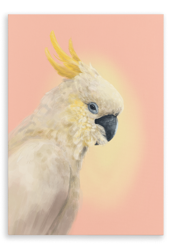28x40-9118-cockatwos-white-canvas-print-5056472994687-31110516080796-2.png