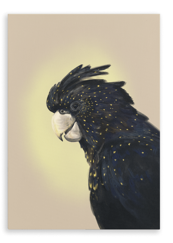 28x40-9119-cockatwos-black-canvas-print-5056472995554-31110486687900-2.png