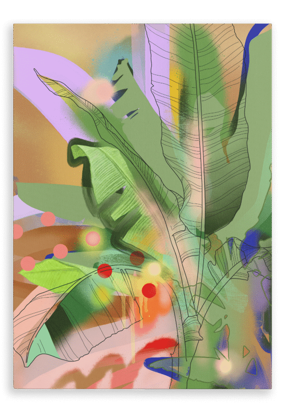 28x40-9138-chromatose-botanica-banani-banana-giclee-canvas-print-5056472907267-36753323294969.png