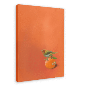 Tangerine Tanager Printed Canvas Wall Art