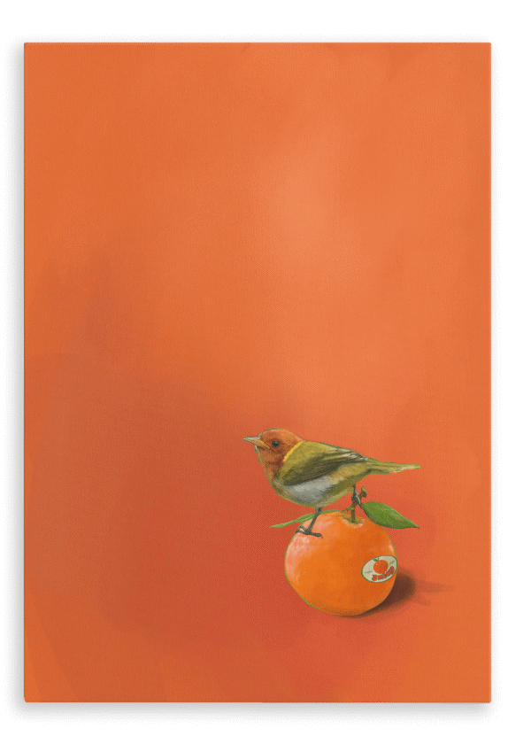 28x40-9141-tangerine-tanager-printed-canvas-wall-art-5056472910120-31540890271900.png 28x40-9141-tangerine-tanager-printed-canvas-wall-art-5056472910120-31540890271900.png