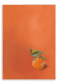 28x40-9141-tangerine-tanager-printed-canvas-wall-art-5056472910120-31540890271900.png