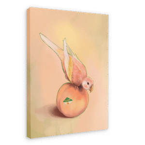 Peachy Parakeet Printed Canvas Wall Art