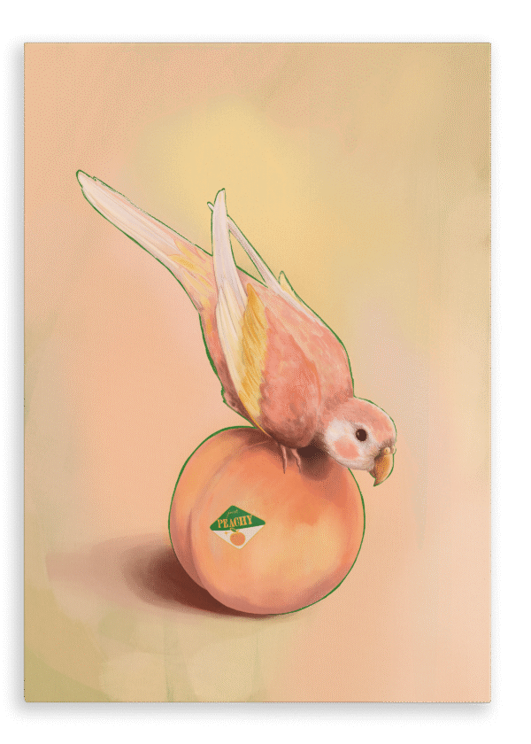 28x40-9143-peachy-parakeet-printed-canvas-wall-art-5056472995035-31540881752220-3.png