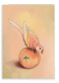 28x40-9143-peachy-parakeet-printed-canvas-wall-art-5056472995035-31540881752220-3.png