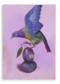 28x40-9145-plum-pigeon-printed-canvas-wall-art-5060583435793-31540880179356.png