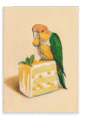 28x40-9147-caique-on-cake-canvas-print-5056472908875-37928321024249-2.png