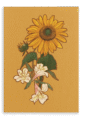 28x40-9157-august-canvas-print-5056472988068-39484053127417-4.png
