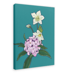 December Canvas Print