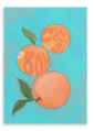 28x40-9180-peches-printed-canvas-wall-art-5056472907168-36743908557049.png