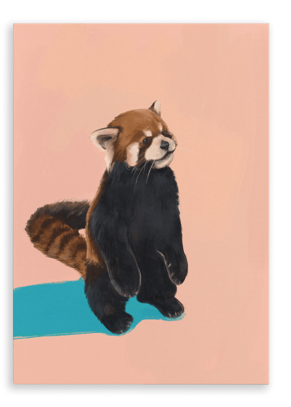 28x40-9201-red-panda-duo-pb-canvas-print-5056472907465-36940104663289.png