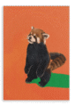 28x40-9202-red-panda-duo-og-canvas-print-5056472907632-36940101681401-3.png