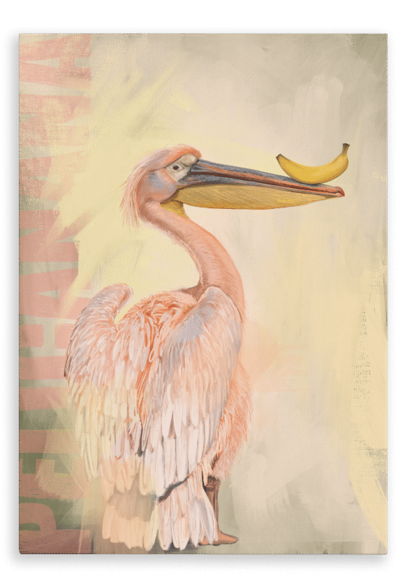28x40-9204-pelicanana-canvas-print-5056472993048-37099667751161.png