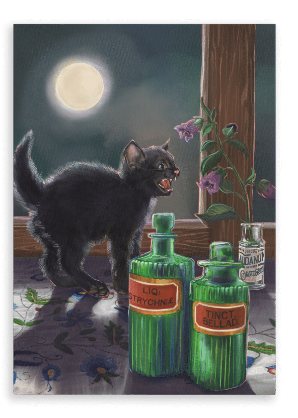 28x40-9227-the-potionist-s-apprentice-giclee-canvas-print-5056472988501-39625926082809-4.png