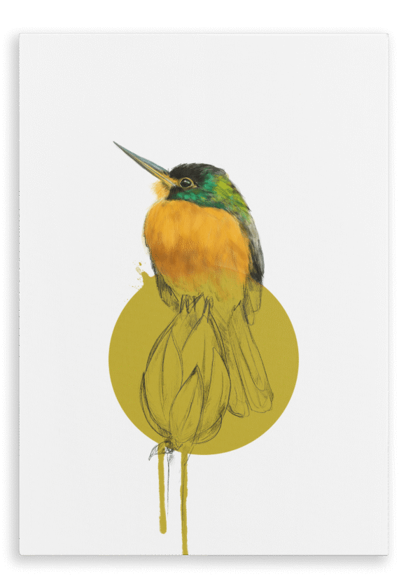 28x40-930-blue-cheeked-jacamar-canvas-print-5056472998630-28598379151516-2.png