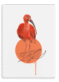 28x40-931-scarlet-ibis-canvas-print-5056472999422-28598372728988-3.png