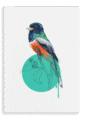 28x40-932-blue-crowned-trogon-canvas-print-5056472998982-28598381969564-2.png