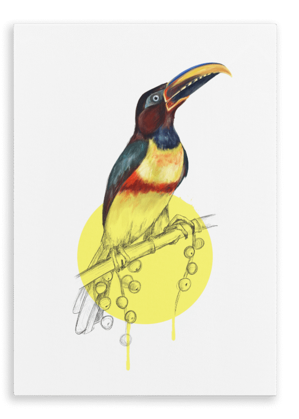 28x40-933-chestnut-eared-aracari-canvas-print-5056472998135-28598399139996-2.png
