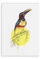 28x40-933-chestnut-eared-aracari-canvas-print-5056472998135-28598399139996-2.png