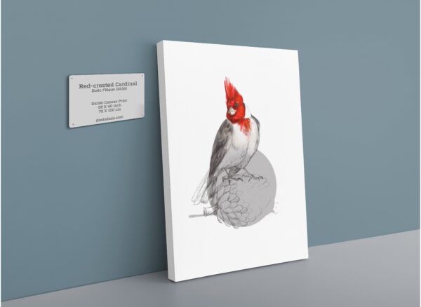 28x40-934-red-crested-cardinal-canvas-print-5056472998654-28598401204380-2.jpg