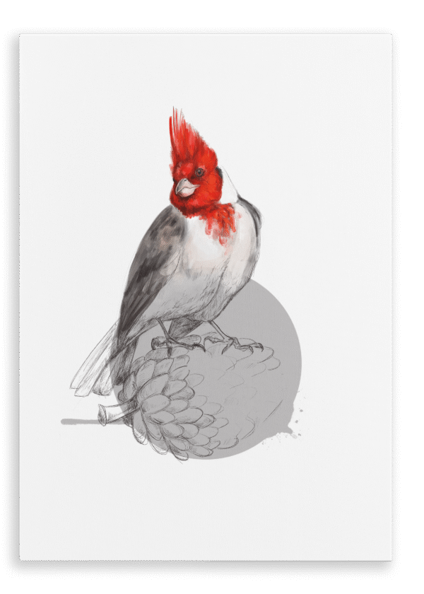 28x40-934-red-crested-cardinal-canvas-print-5056472998654-28598401663132-2.png