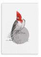 28x40-934-red-crested-cardinal-canvas-print-5056472998654-28598401663132-2.png